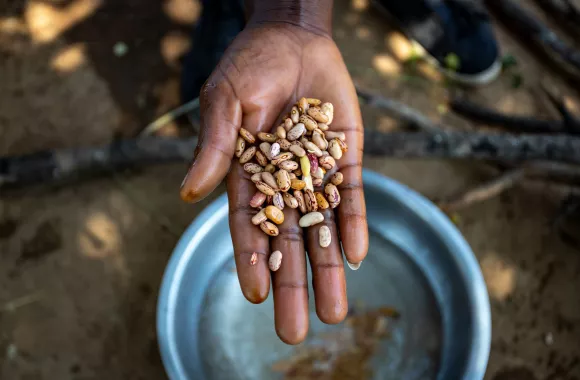 A hand outstretched holding dried beans