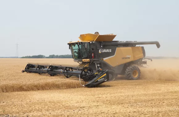 A combine harvests a field of wheat