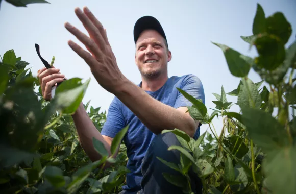 Grant Dyck at his bean field grown for MCC’s Grow Hope project near Niverville, Manitoba. 