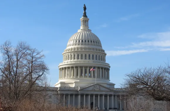 Capitol Building in winter