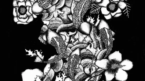 Black and white illustration of flowers in the shape of the Korean peninsula