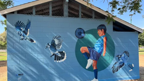 A mural of a child playing soccer. There are also birds taking flight.