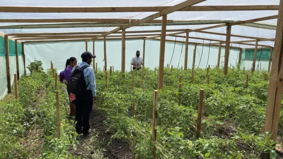 MCC staff tour a greenhouse in San José de la Nueva.