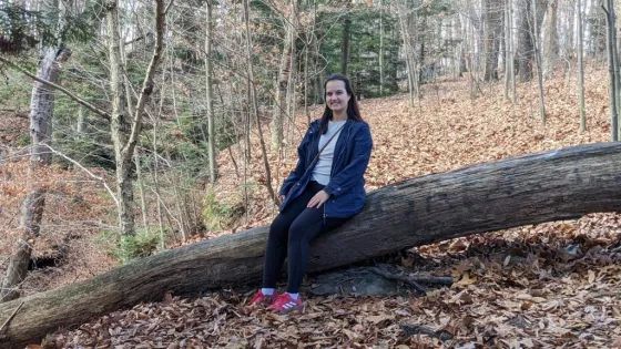 A person sitting on a log in the woods
