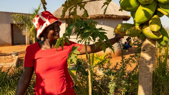 woman standing beside papaya tree