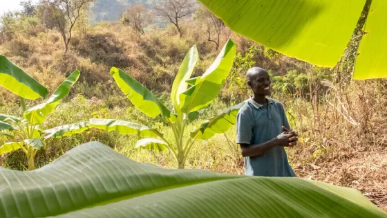 A Ugandan man stands in his field