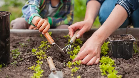 child and adult working in garden