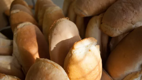 A close up of loaves of bread
