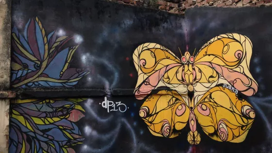 A mural image of a yellow butterfly painted on a wall.