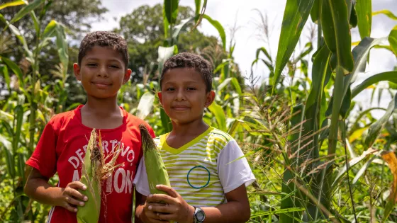 Two boys holding cobs of corn