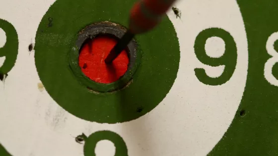 A dart is in the centre of a dartboard.
