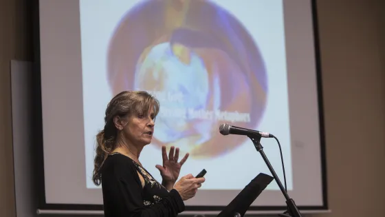 Valorie Hiebert speaking to audience