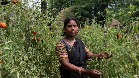 Sangita Soren (30) stands with her crops at her farm in Jahada Rural Municipality-5, Morang, Nepal. She got seasonal and off seasonal vegetable farming training from SAHAS. 