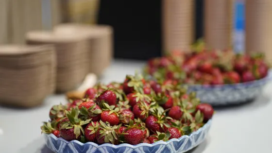 Earthenware plates with blue design piled high with strawberries sit on a table