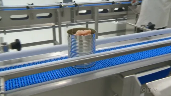 Footage from CTV shows a can of meat being moved on a conveyor belt at the MCC Cannery.