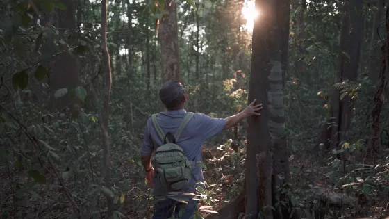 Man stands in the forest