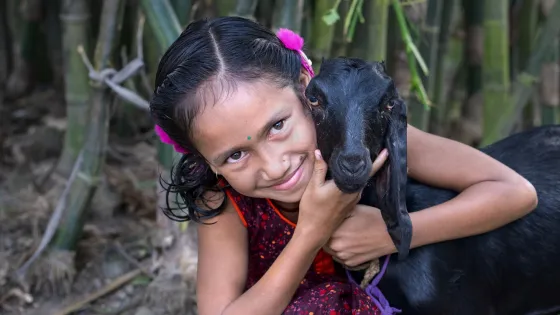 Sangita Sarkar Nodi (9.5) is a daughter of a female farmer who uses MPUS “Smart House” techniques at her riverside home. She enjoys the animals her mother raises, especially the goat.