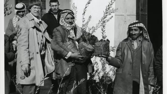 Paul Quiring (left) served as MCC representative in Palestine from 1976-1978. In this photo circa 1978, Quiring observes the distribution of olive tree seedlings to Palestinian farmers in the West Ban